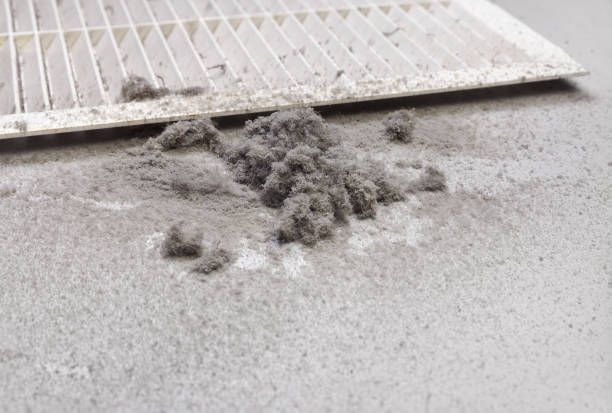 Best Ductwork Cleaning Services  in Cana, VA