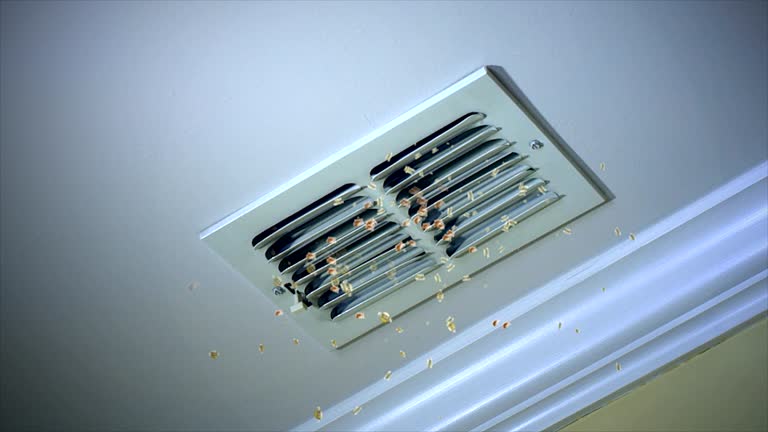 Best HVAC System Cleaning  in Cana, VA