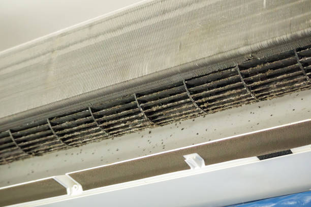 Best Duct Cleaning for Homes  in Cana, VA